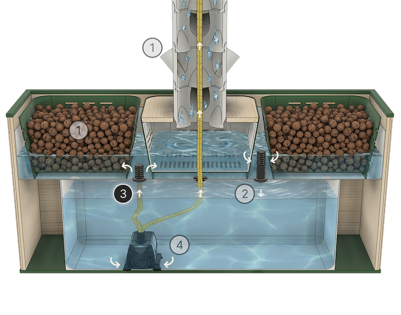 Automated feeding & watering
